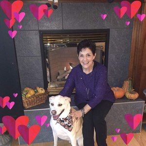 Meet your Posher, Rose